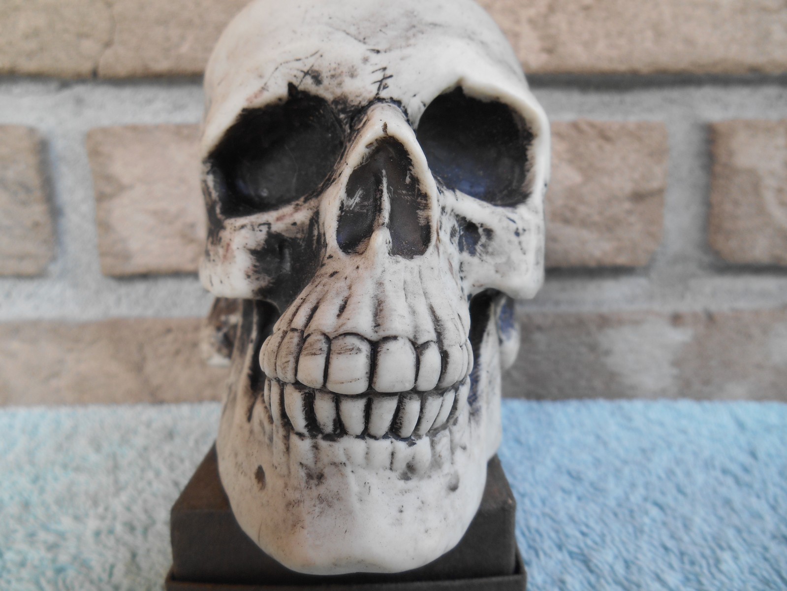DECORATIVE PLASTIC MOLDED SKULL SKELETON HEAD 3-1/2″ TALL.