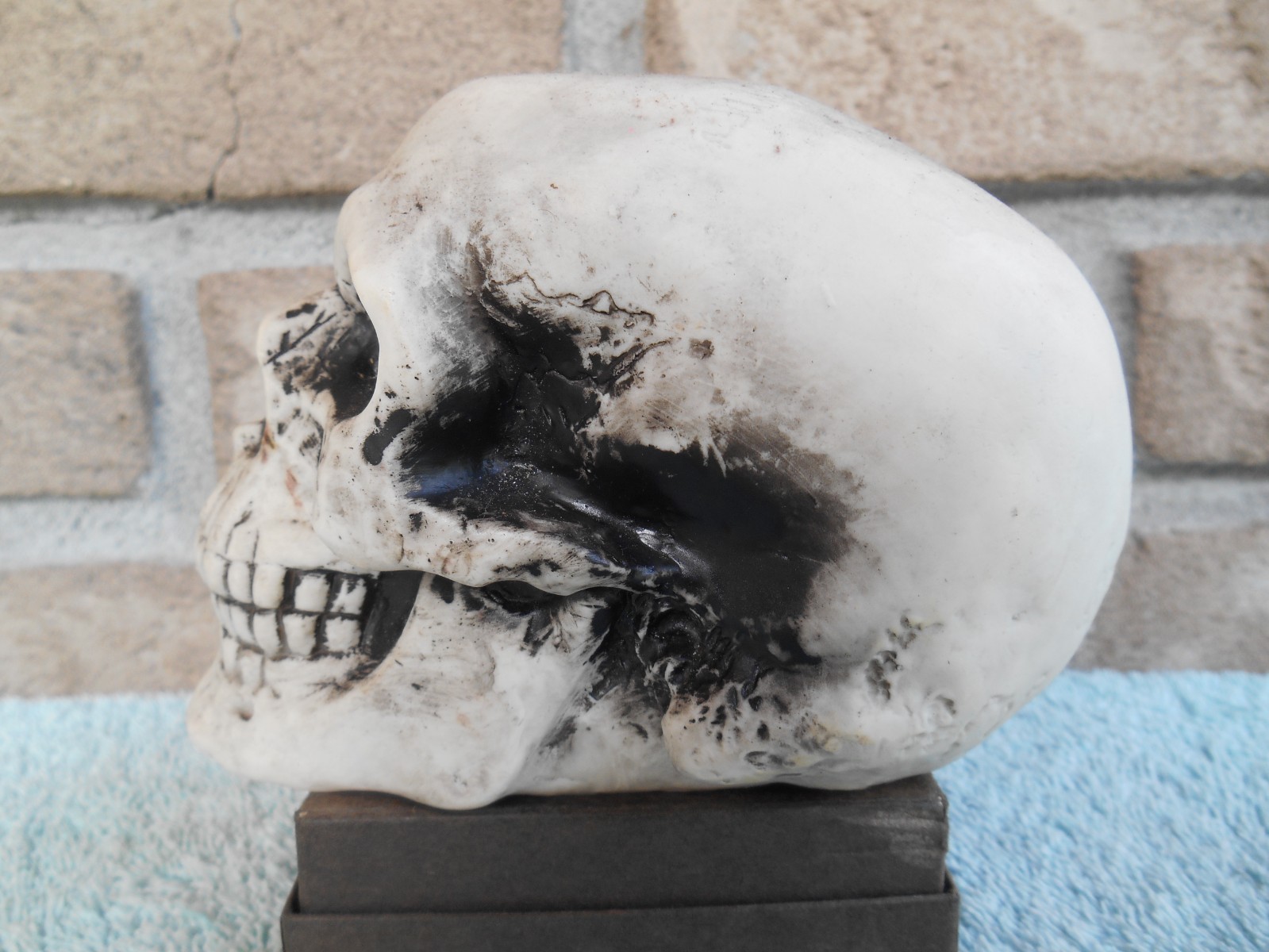 DECORATIVE PLASTIC MOLDED SKULL SKELETON HEAD 3-1/2″ TALL.