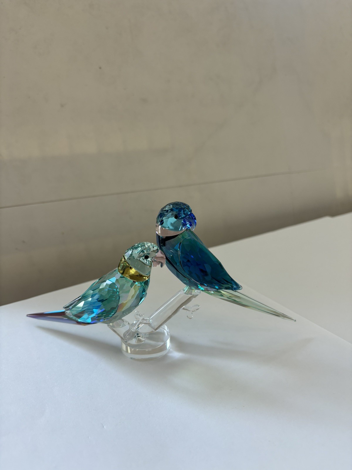 Swarovski Crystal Parakeet Couple 5577124 MIB