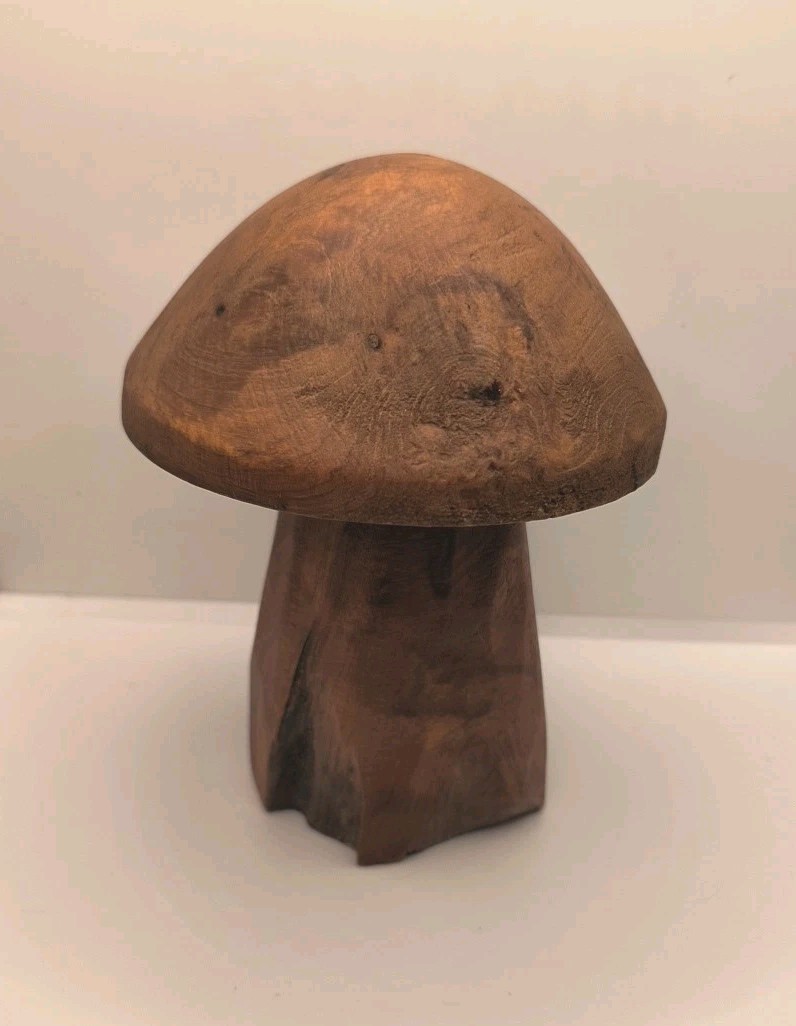 Aged Hardwood Hand Carved Wood Mushroom Sculpture on Driftwood 8″X6″