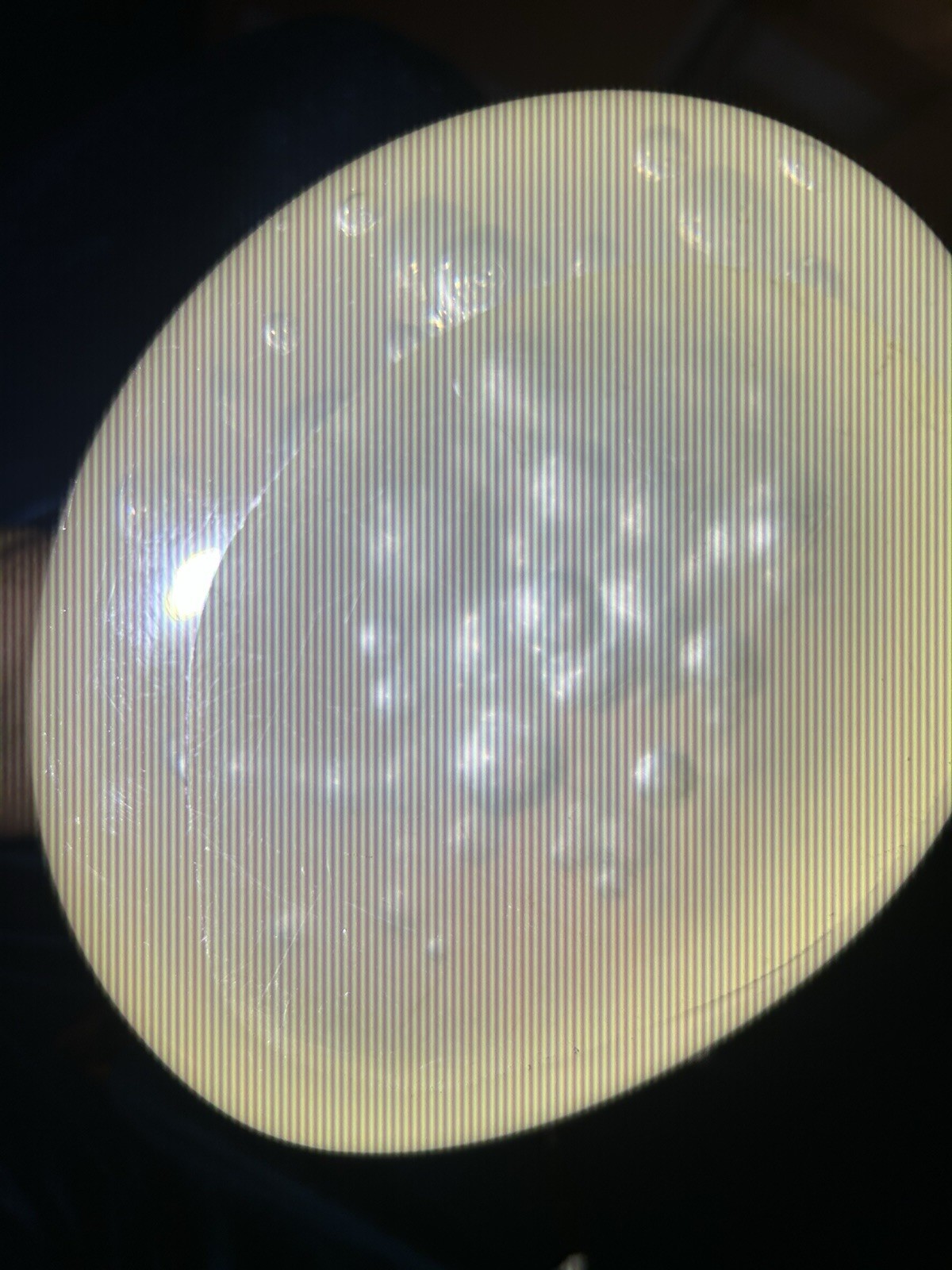 MCM Bulbous Resin Bubble Sculpture Owned By A Great Artist Fun Everlasting Rare