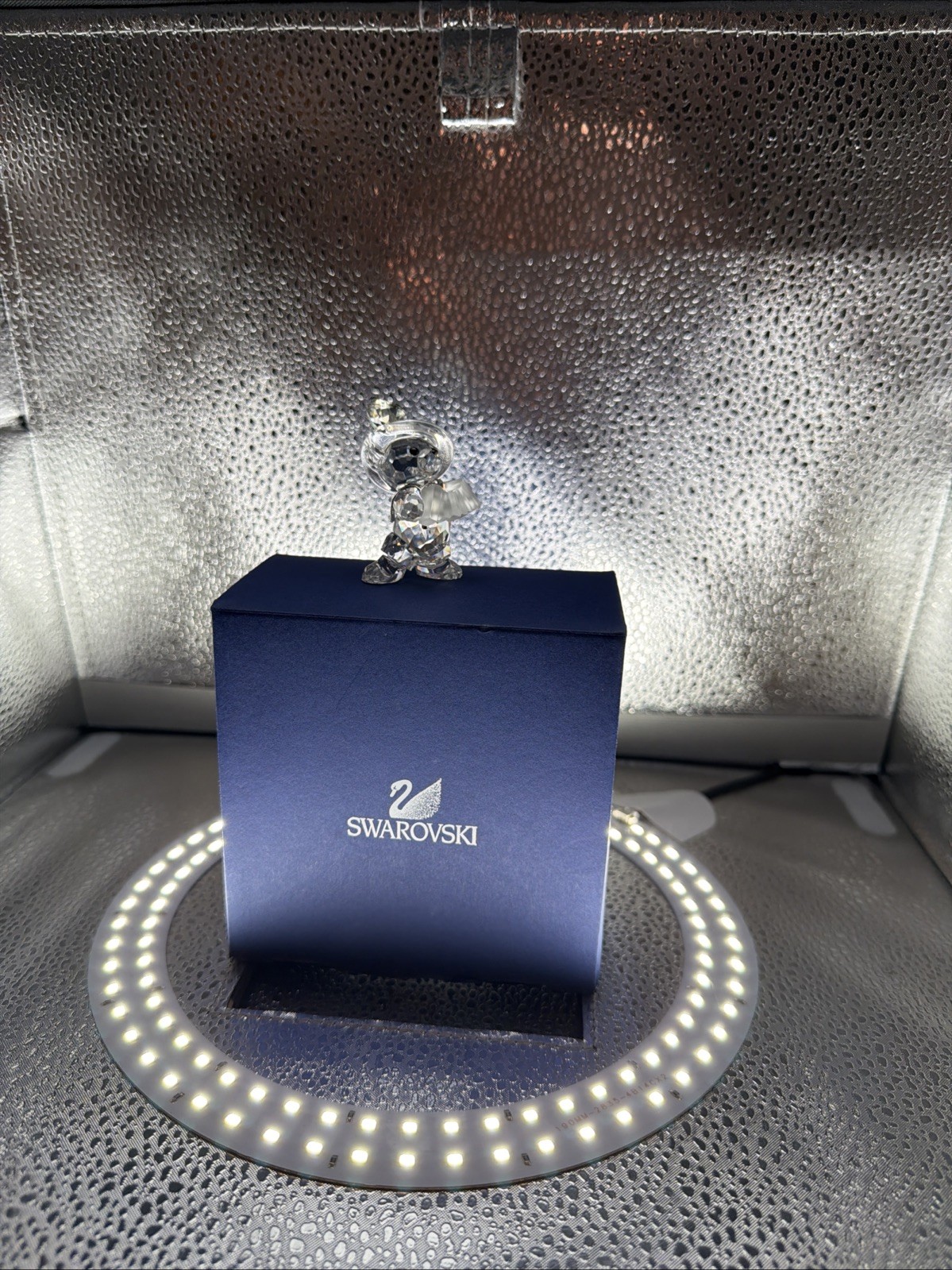 Swarovski FRITZ 0884452 Bear Wearing Silver Lederhosen Accordion w/Box MIB