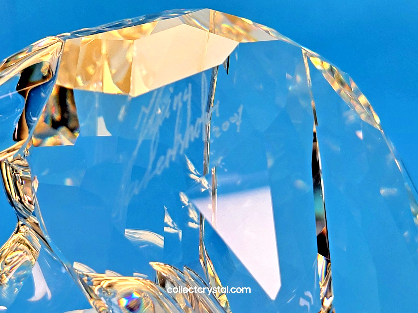 Swarovski Crystal SOULMATES PANTHER CLEAR 874337 5155678 G2U