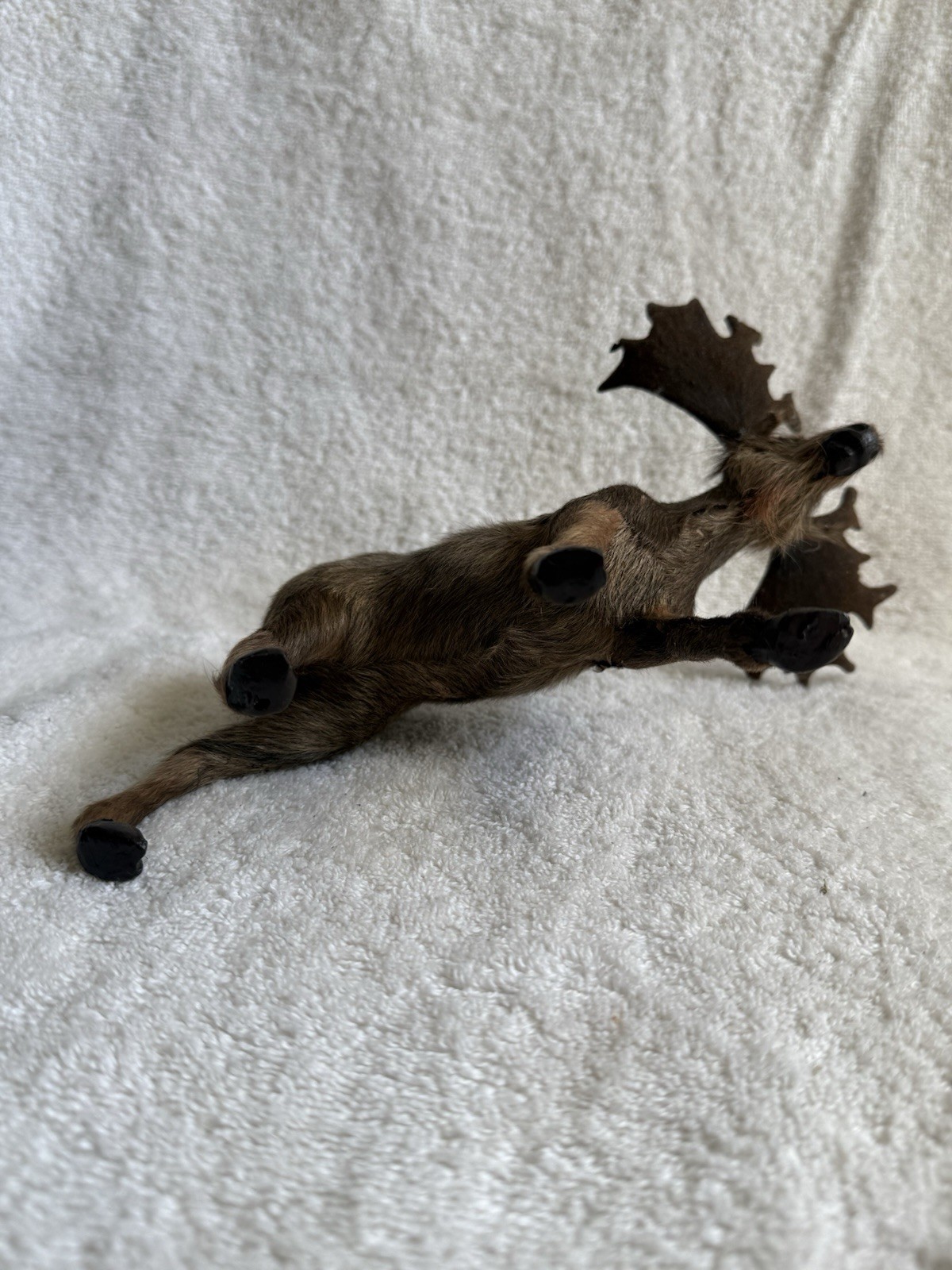 Vintage Real Fur Moose Figurine~Felt Antlers~Realistic~Free Standing 8 inch