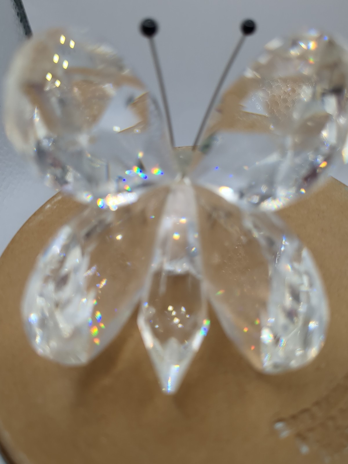 Swarovski Crystal Butterfly Figurine Black Eyes and Antenna Silver Nose READ