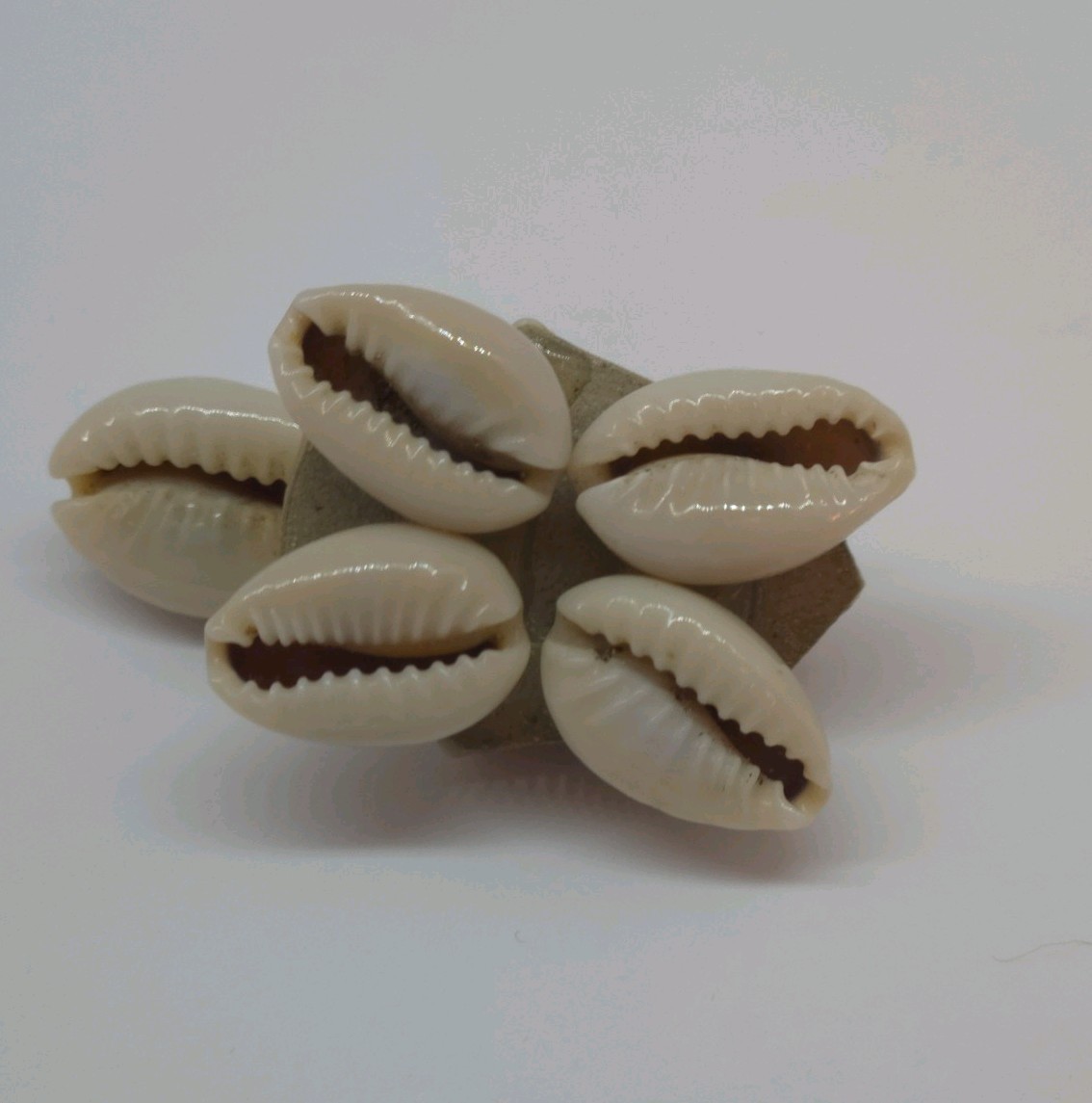 Miniature Animal Sea Shell Trio Rabbit Turtle Creatures