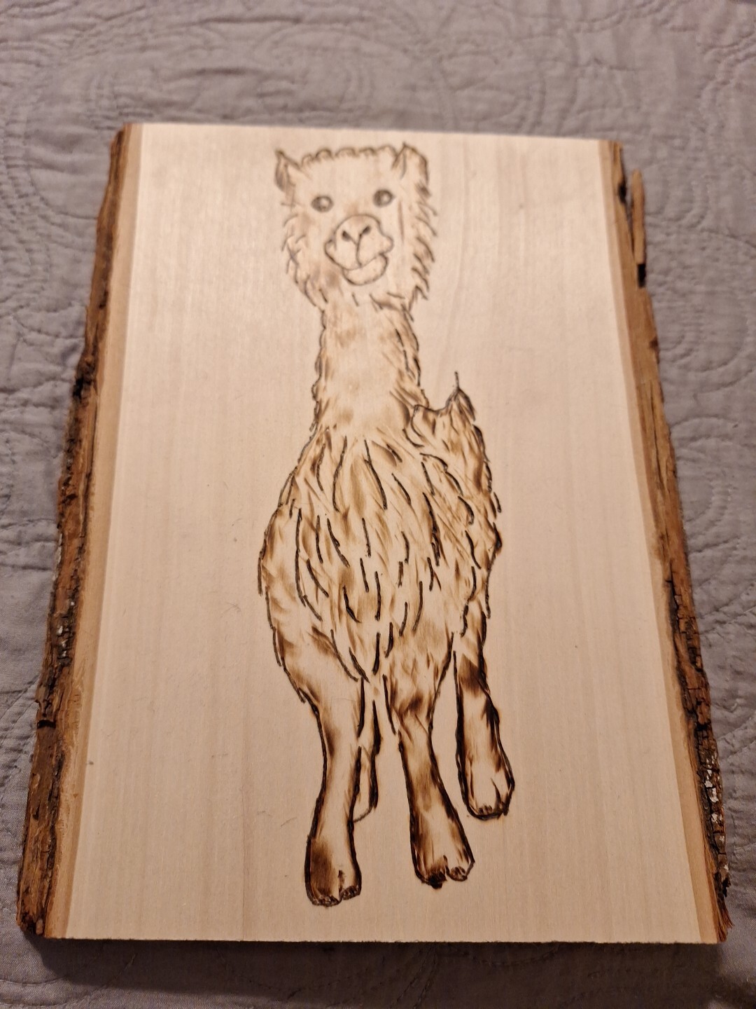 Lot of Llama Items, Frmd Picture, Handmade Burn Drawing, Coffee Cup, & Figurine.