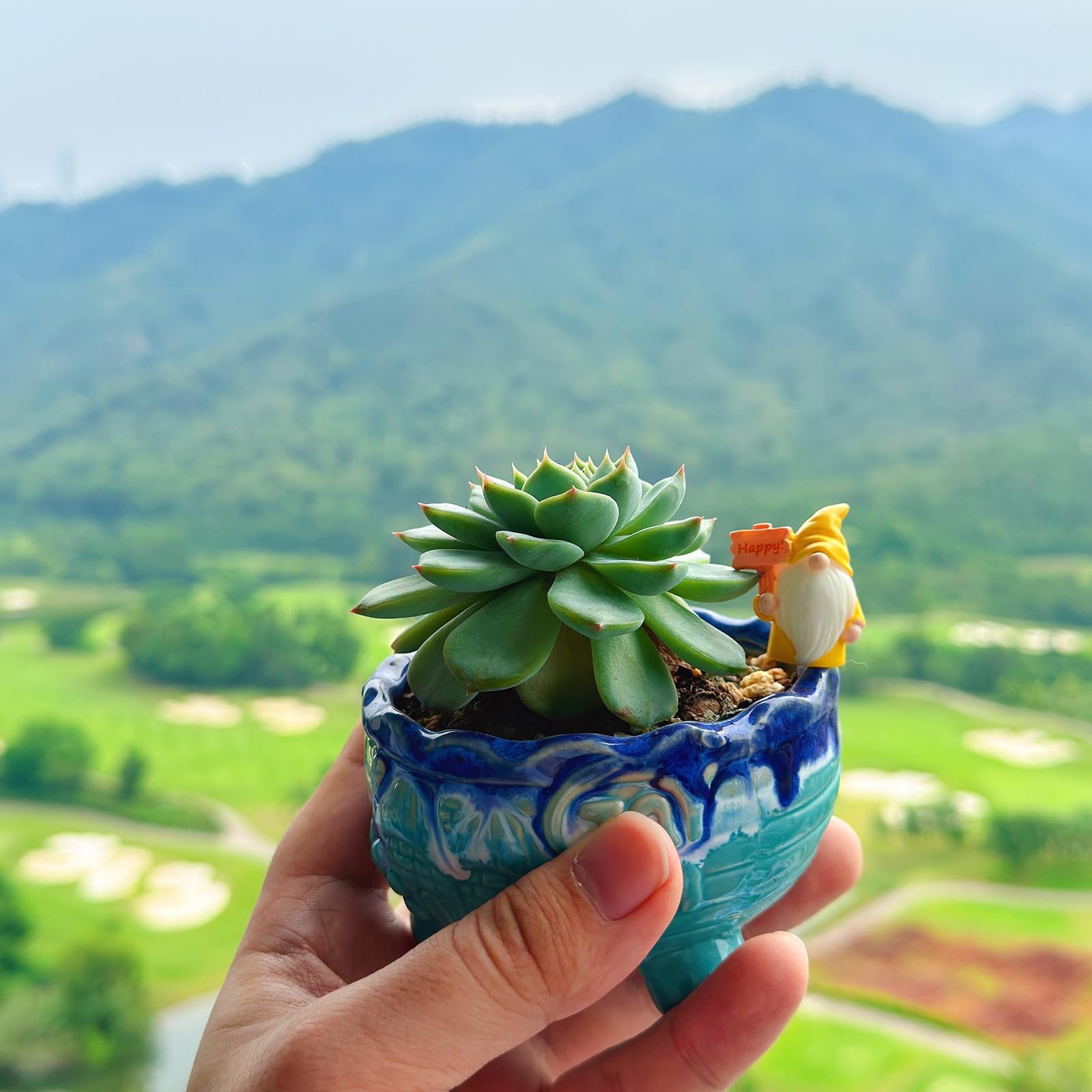 24pcs Mini Gnomes Figurines Fairy Garden Tiny Resin Statues for Outdoor, Indo…