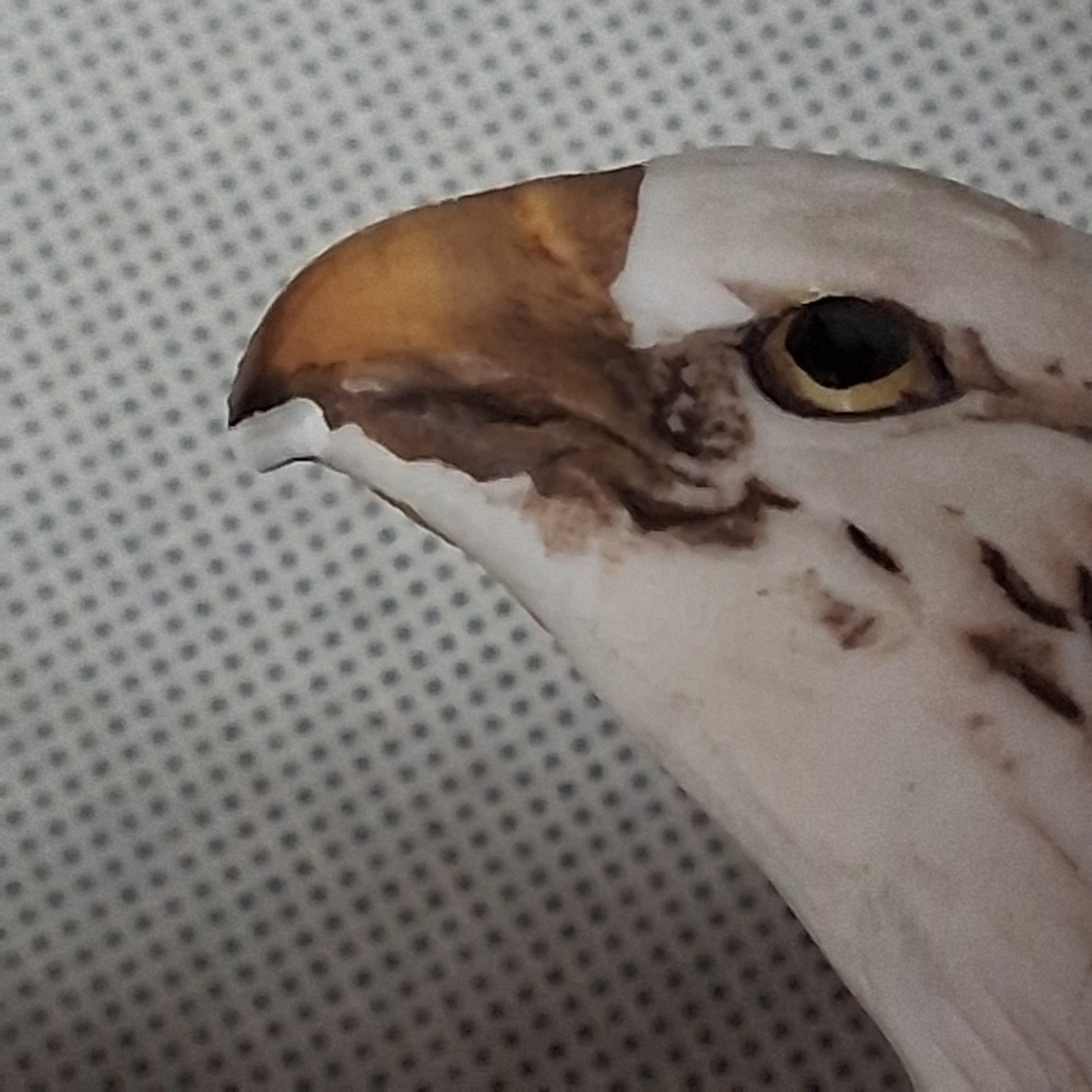 Masterpiece Homco 11 1/2″ Bald Eagle Hand Painted Porcelain Figurine Statue CHIP
