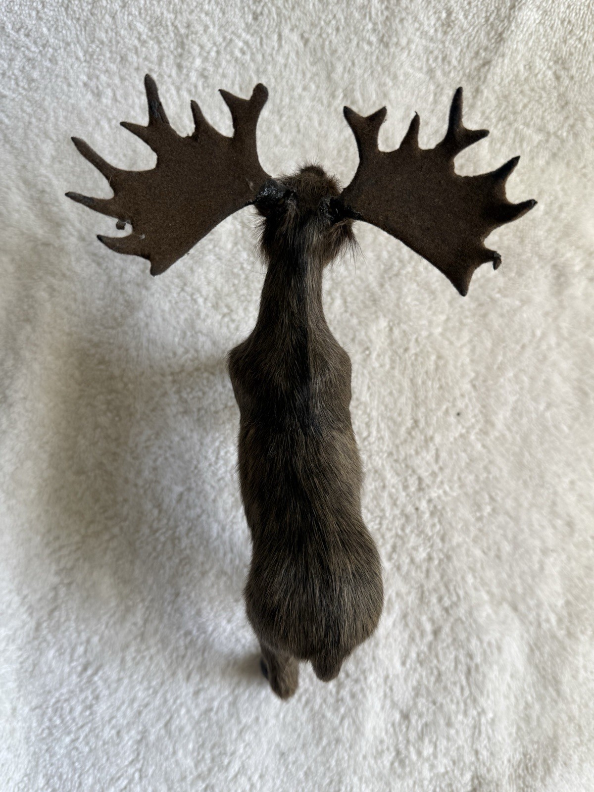 Vintage Real Fur Moose Figurine~Felt Antlers~Realistic~Free Standing 8 inch