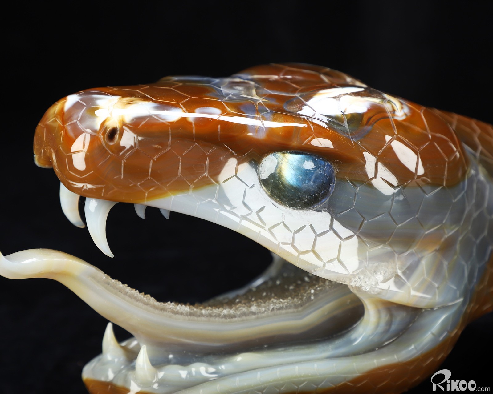 Awesome 7.5″ Premium Brazilian Agate Hand Carved Crystal Snake Sculpture