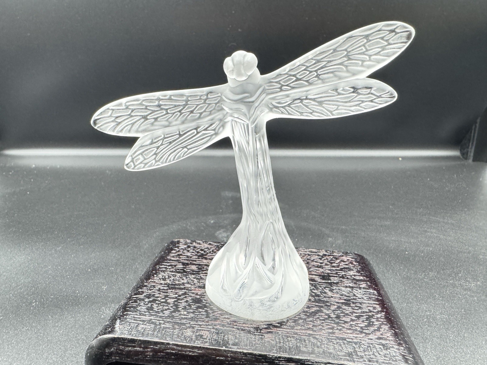 Lalique France Frosted Crystal Dragonfly Figurine Signed Art Glass