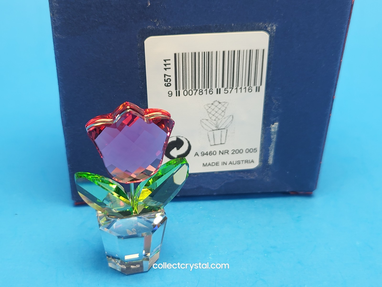 SWAROVSKI PINK TULIP HAPPY FLOWERS DREAMS in clear pot # 657111 MIB small fig