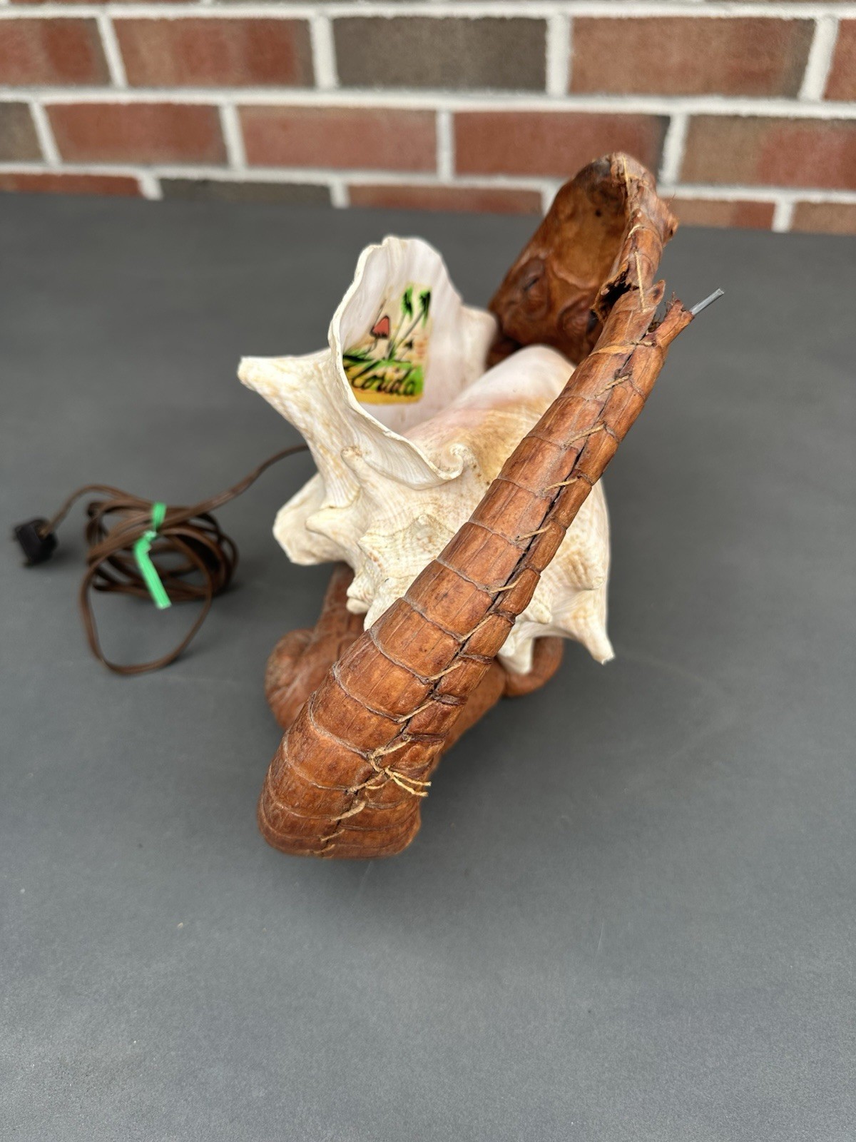 RARE Vintage Decorative Conchshell With Crocodile Or Alligator ( Not Sure Which)