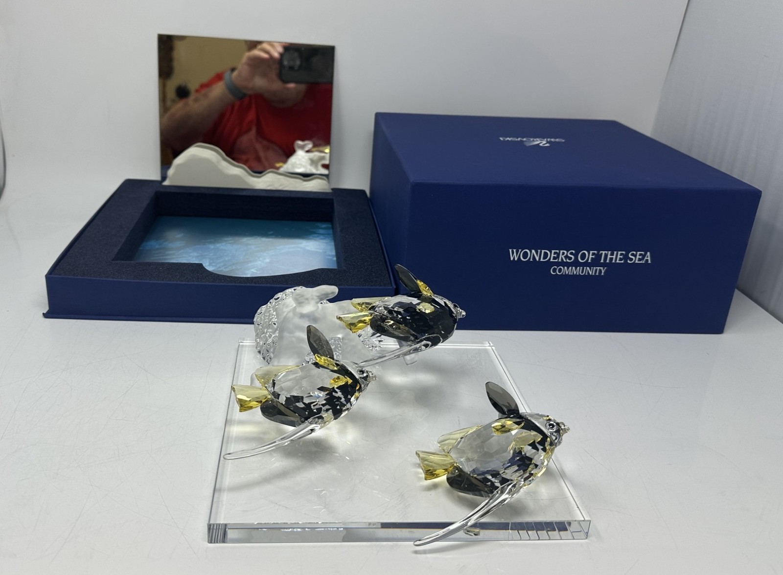 Swarovski Wonders Of The Sea Crystal Sculpture – “Community”