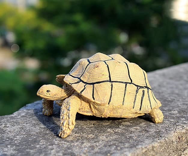 Leopard Tortoise Statue Figurine Turtle Decorations for Home Reptile Decorati…