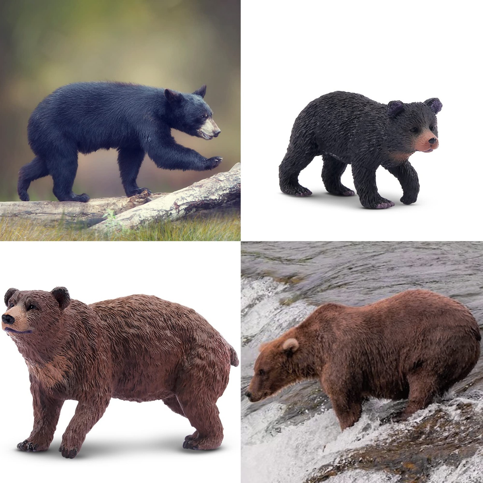 Toymany 6-pcs Bear Animal Figures, Realistic, Collectible Figurines Toy Set