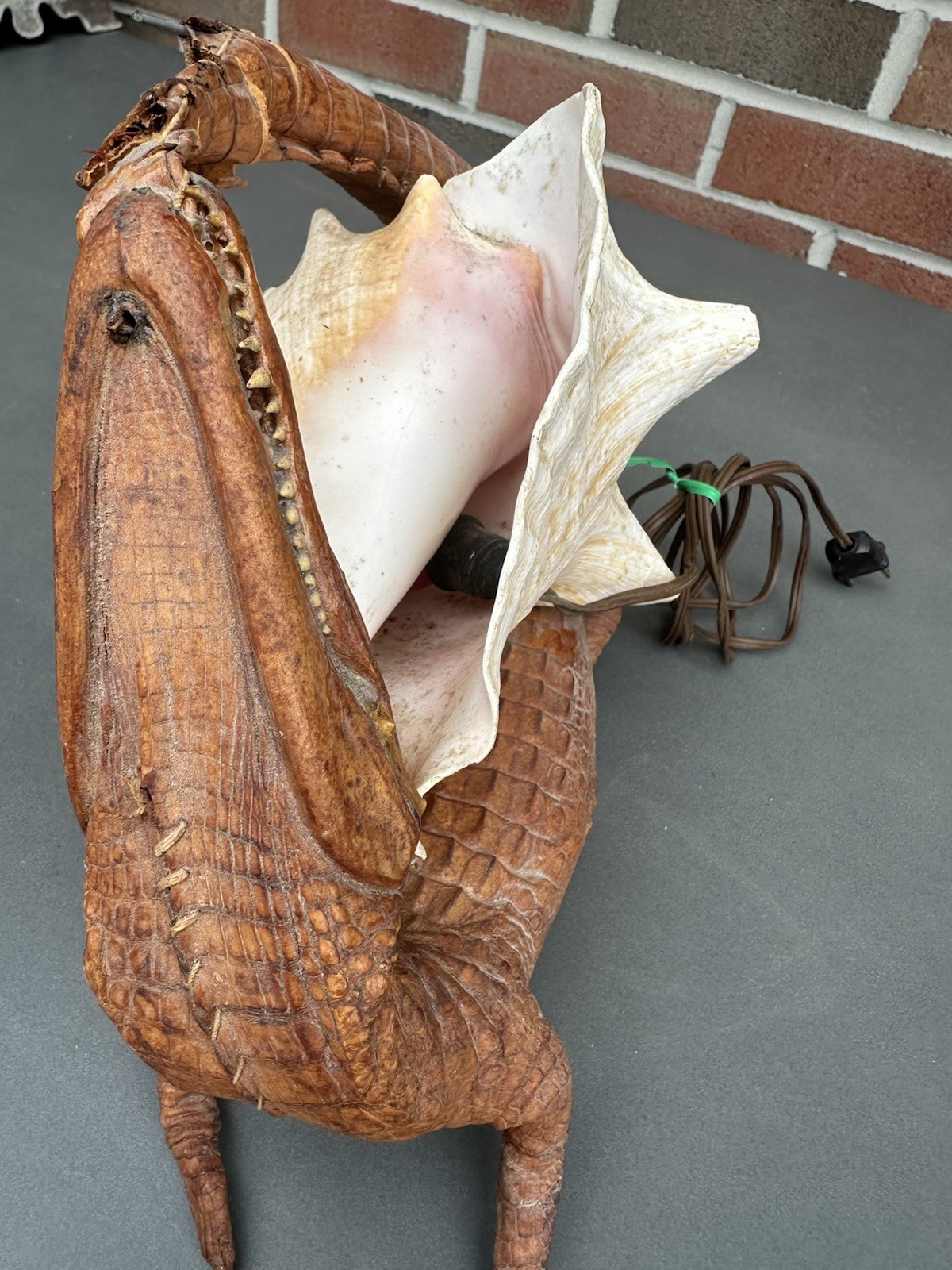 RARE Vintage Decorative Conchshell With Crocodile Or Alligator ( Not Sure Which)