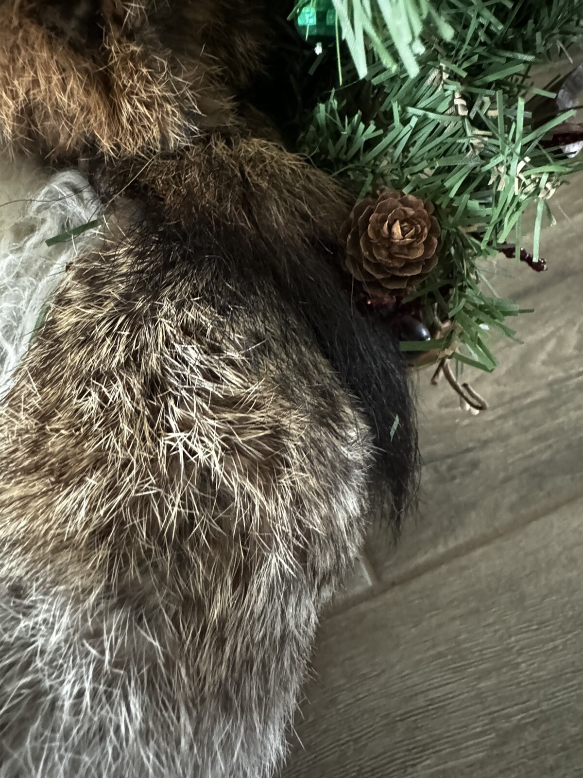 RUSTIC Trapper Santa Mountain Real Fur Rowing canoe Skis Raccoon Centerpiece XL