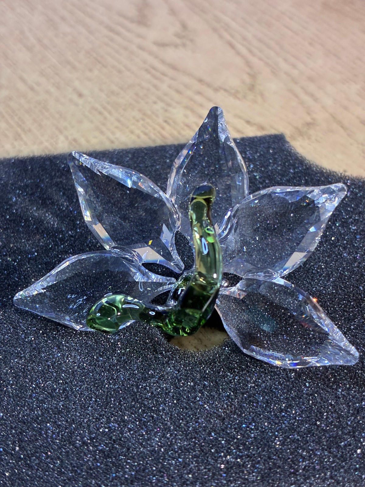 Swarovski Crystal 2013 SCS Orchid Flower Figurine 1142858 MIB