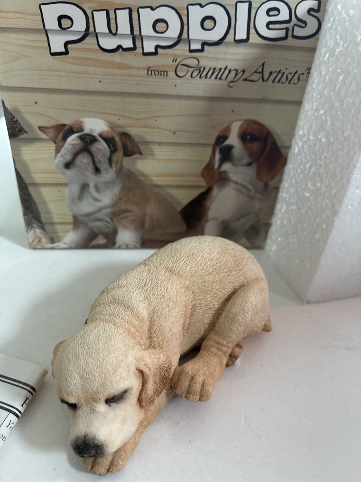 Country Artists For The Discerning Golden Labrador Puppy Sleeping 01994