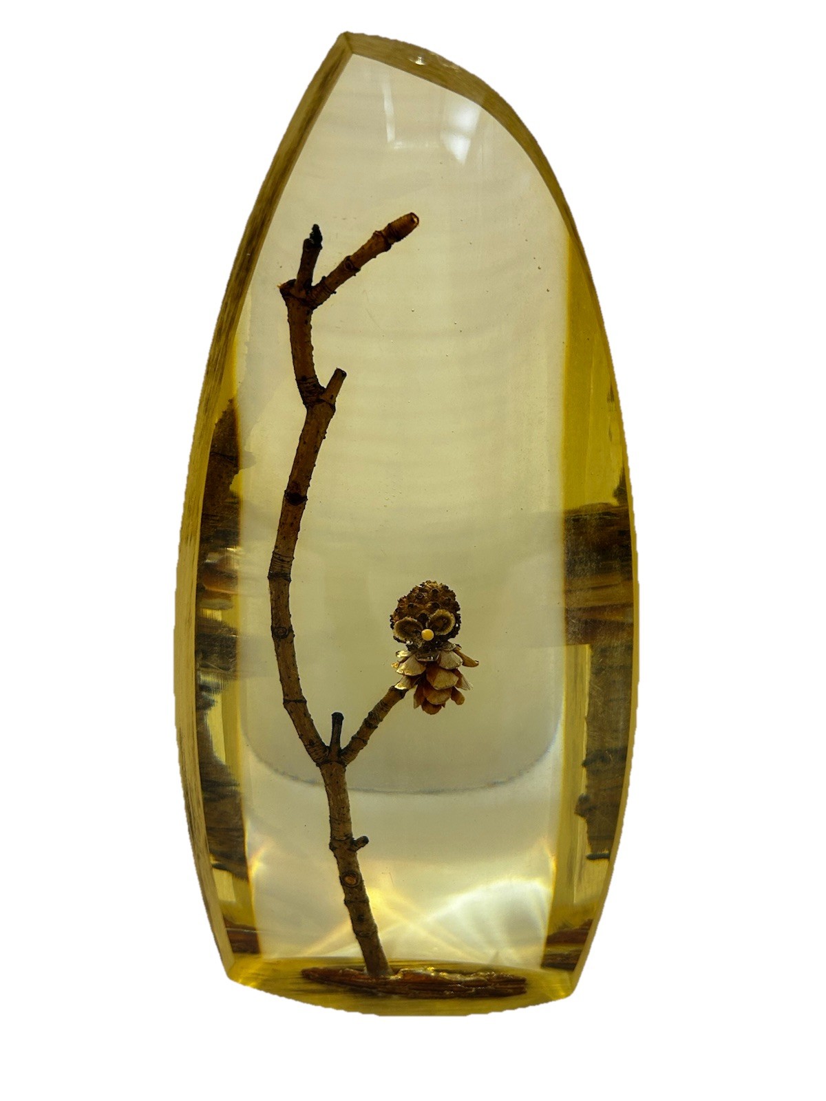 Vintage MCM Retro Wood Owl Encased in Lucite Acrylic Figurine Decoration 8.25″