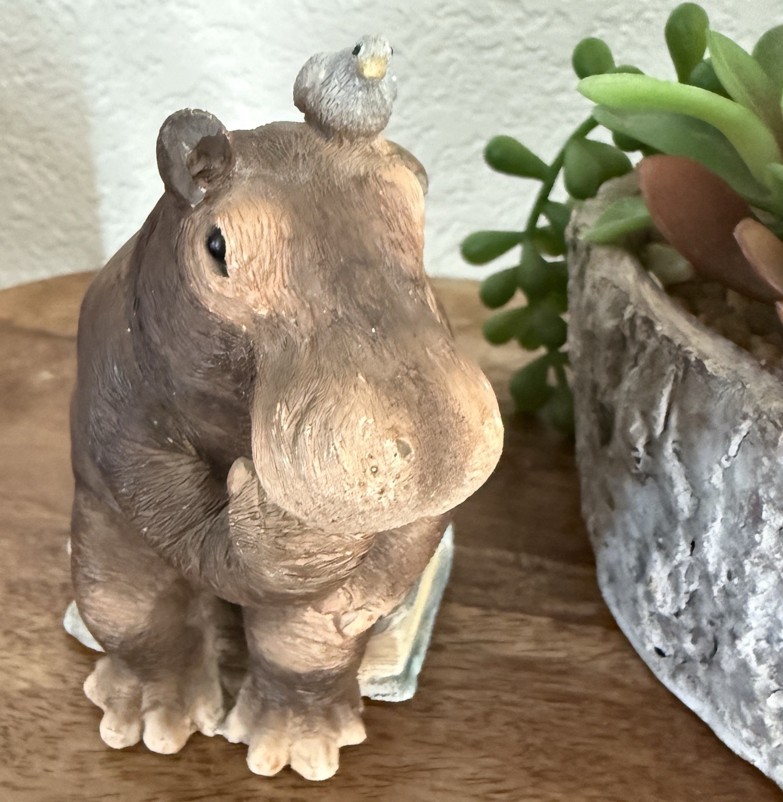 Stone Critters Hippo Figurine “HippoCRATES” Book Lover Desk Decor