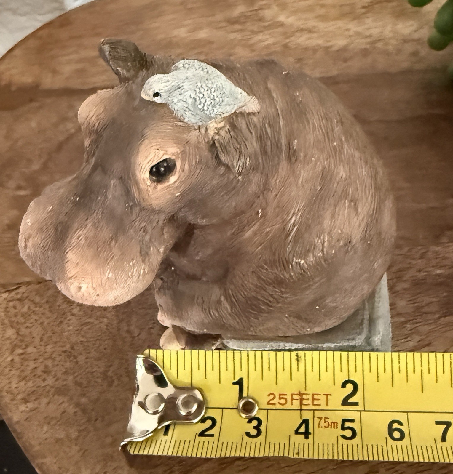 Stone Critters Hippo Figurine “HippoCRATES” Book Lover Desk Decor