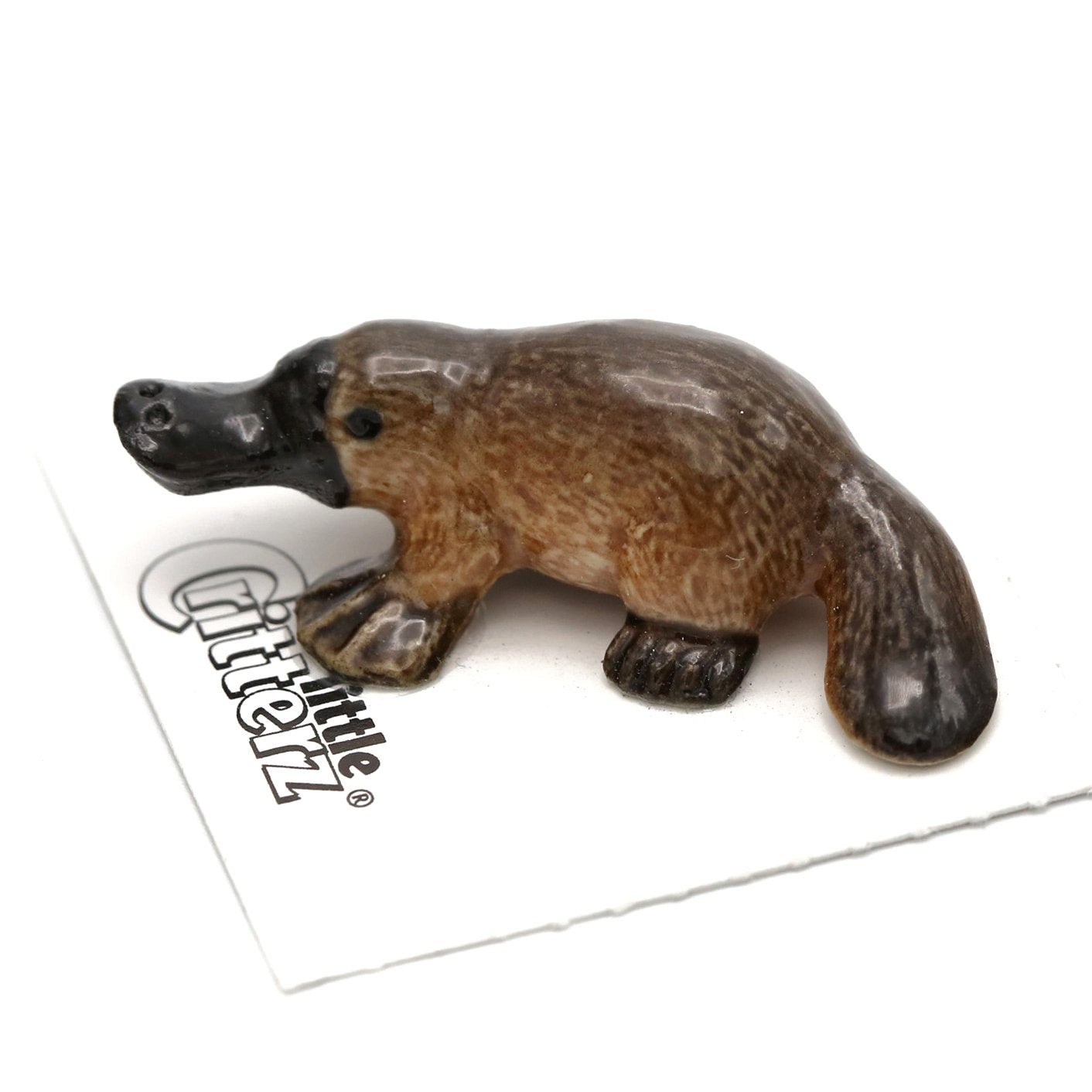 Little Critterz Platypus “Australia” Animal – Miniature Porcelain Figurine