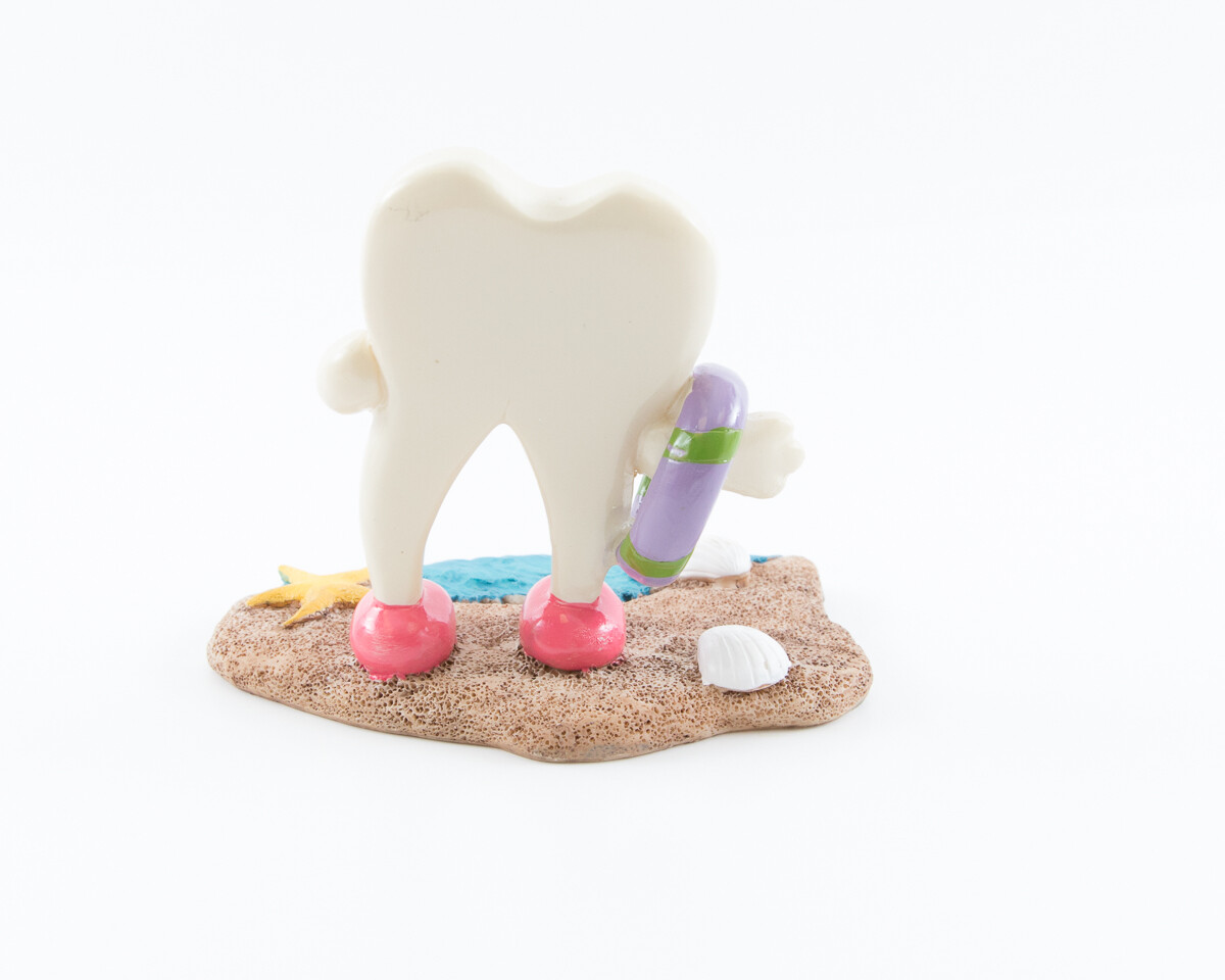 Figurine Decoration Dental Molar Tooth Beach Time Resin Collection