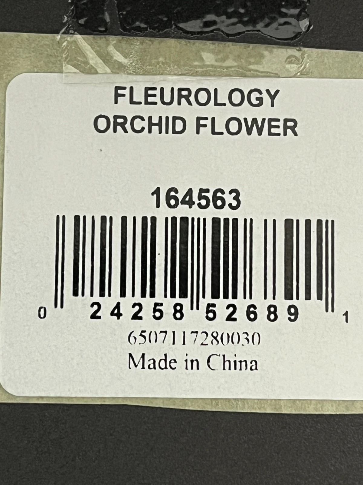 Rare Waterford Fleurology 15” Clear Crystal ORCHID Sculpture in Original Box NIB