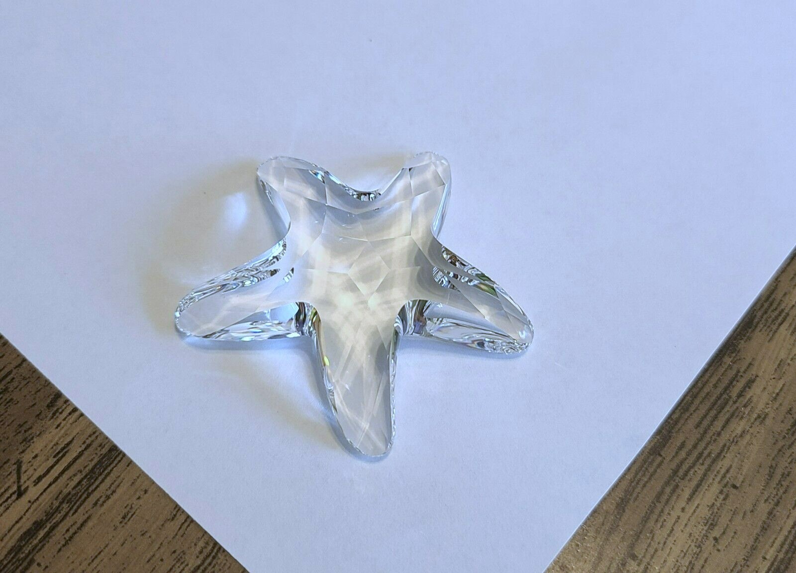 ⭐ Swarovski Crystal 2005 SCS Renewal Joining Gift, Large, Starfish Figurine, NIB