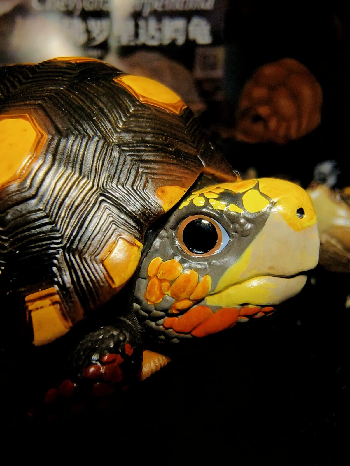 Animal Planet Red Footed Tortoise Animal Heavenly Body Collect Turtle Model