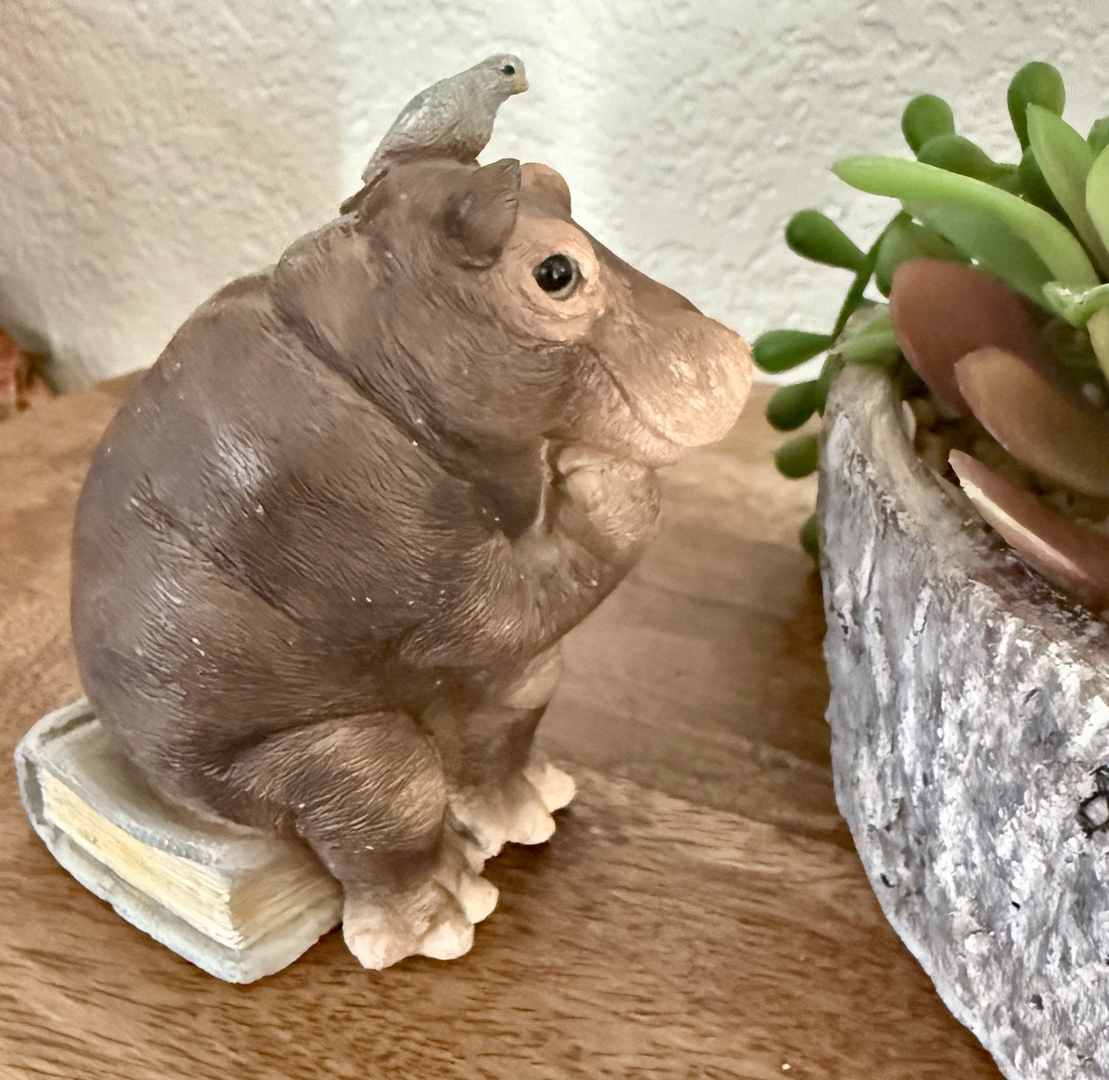 Stone Critters Hippo Figurine “HippoCRATES” Book Lover Desk Decor