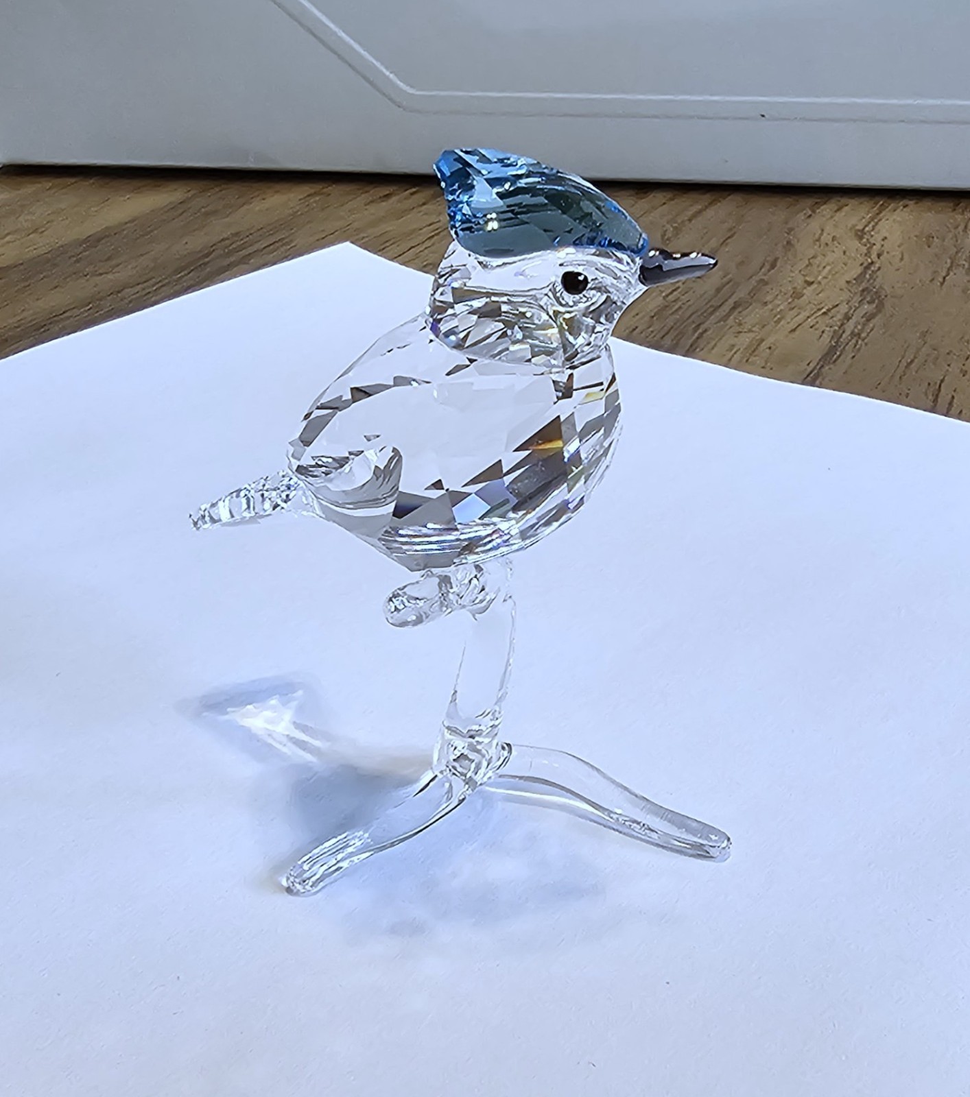 🐦 Swarovski Crystal 2019 Feathered Beauties, Large, Blue Jay Bird Figurine, NIB