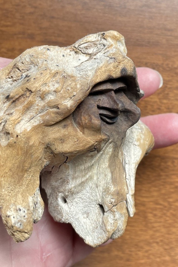 Small Hand Carved Wooden Face Carved From Organic Wood Piece for Wall Hanging