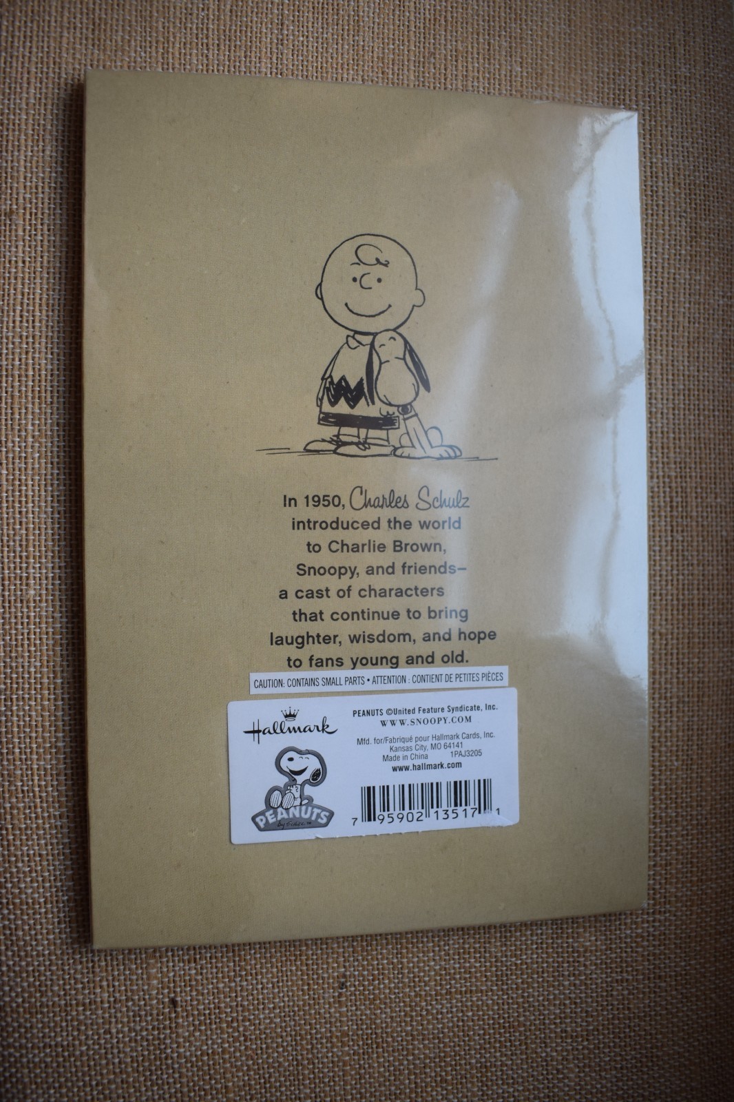 Hallmark Peanuts Magnet Set Snoopy Charlie Brown Gang 7pc New Sealed VTG