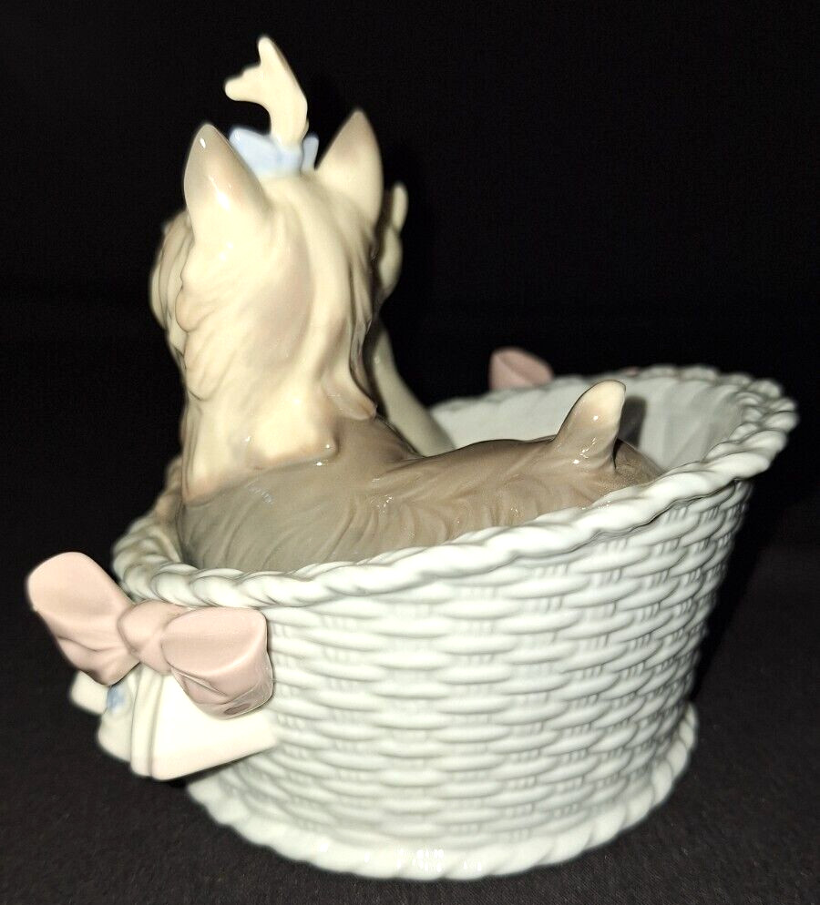 LLADRO YORKIE YORKSHIRE TERRIER DOG Our Cozy Home #6469 RETIRED PORCELAIN FIGURE