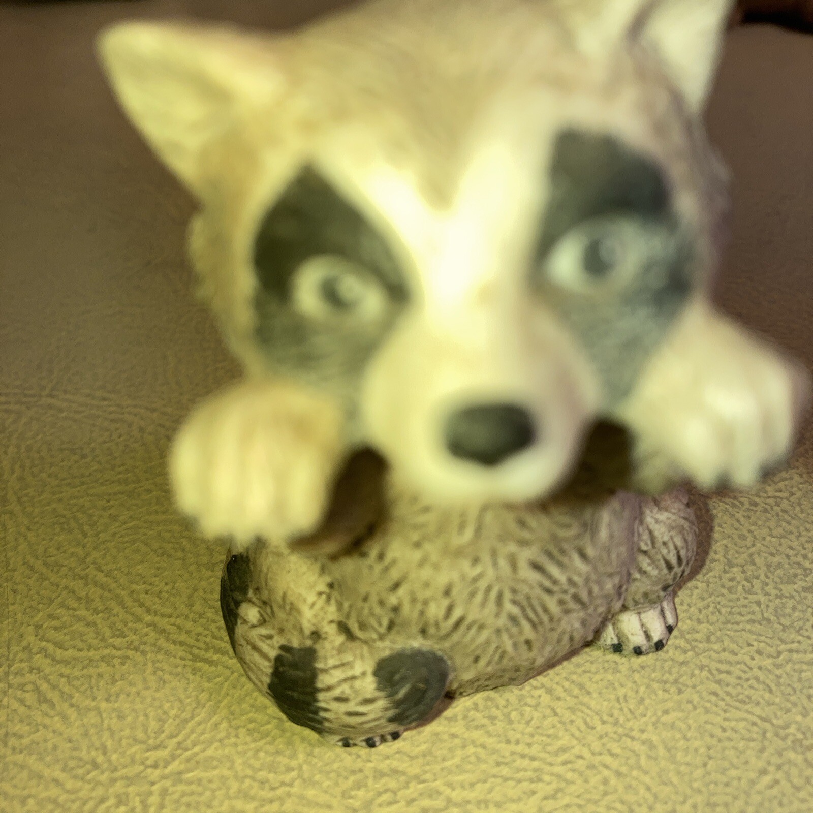 Stone Lot Of 14 Different Racoons All Shapes And Sizes with multiplecolors