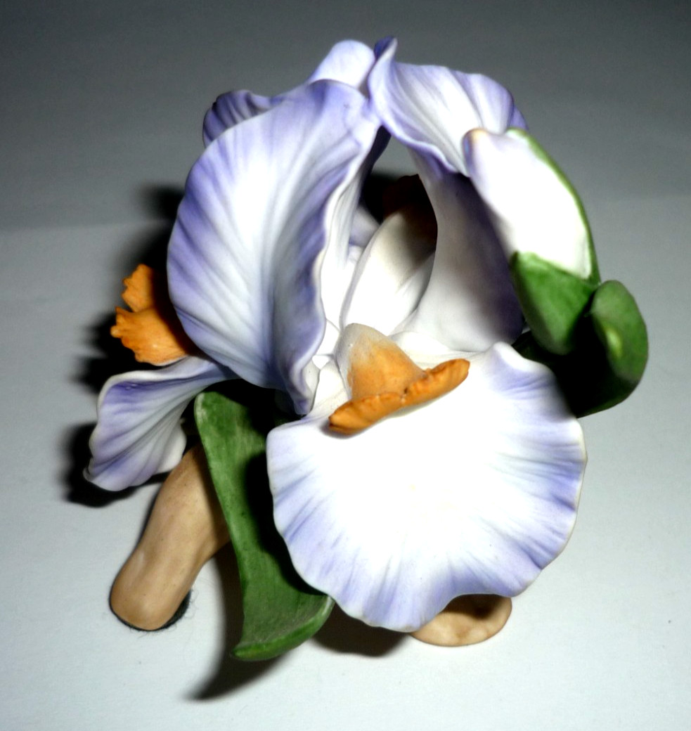 1985 Hamilton Collection Flowers Orient Porcelain Limited Edition Iris