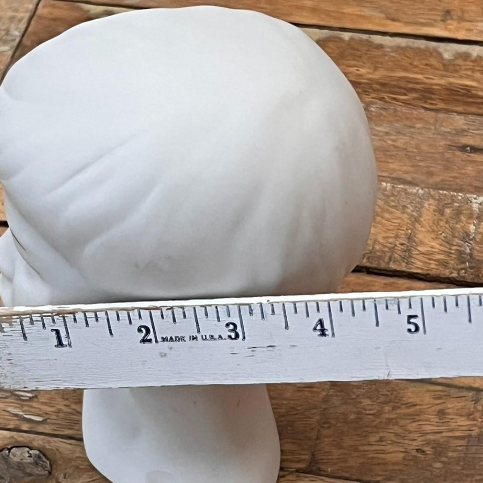 Vintage Holland Mold Boy Bisque Busts Pale