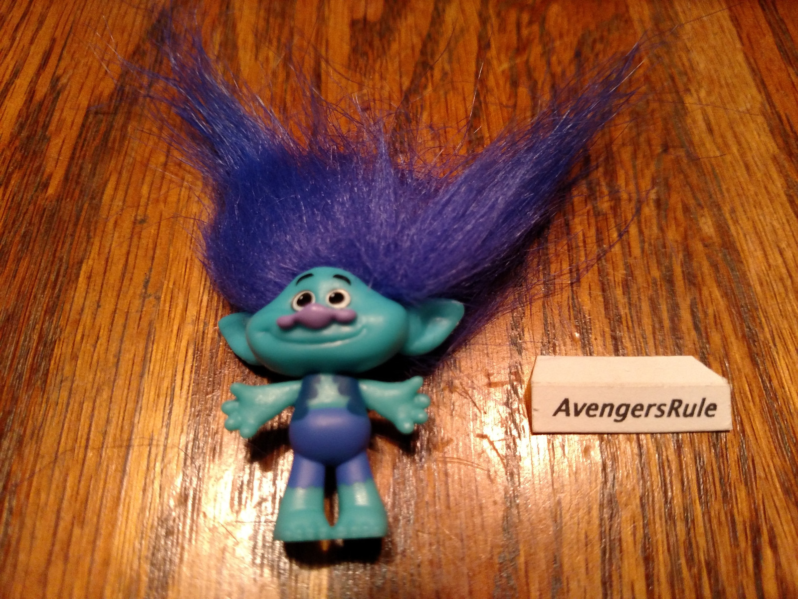 Dreamworks Trolls Hasbro Series 7 Branch
