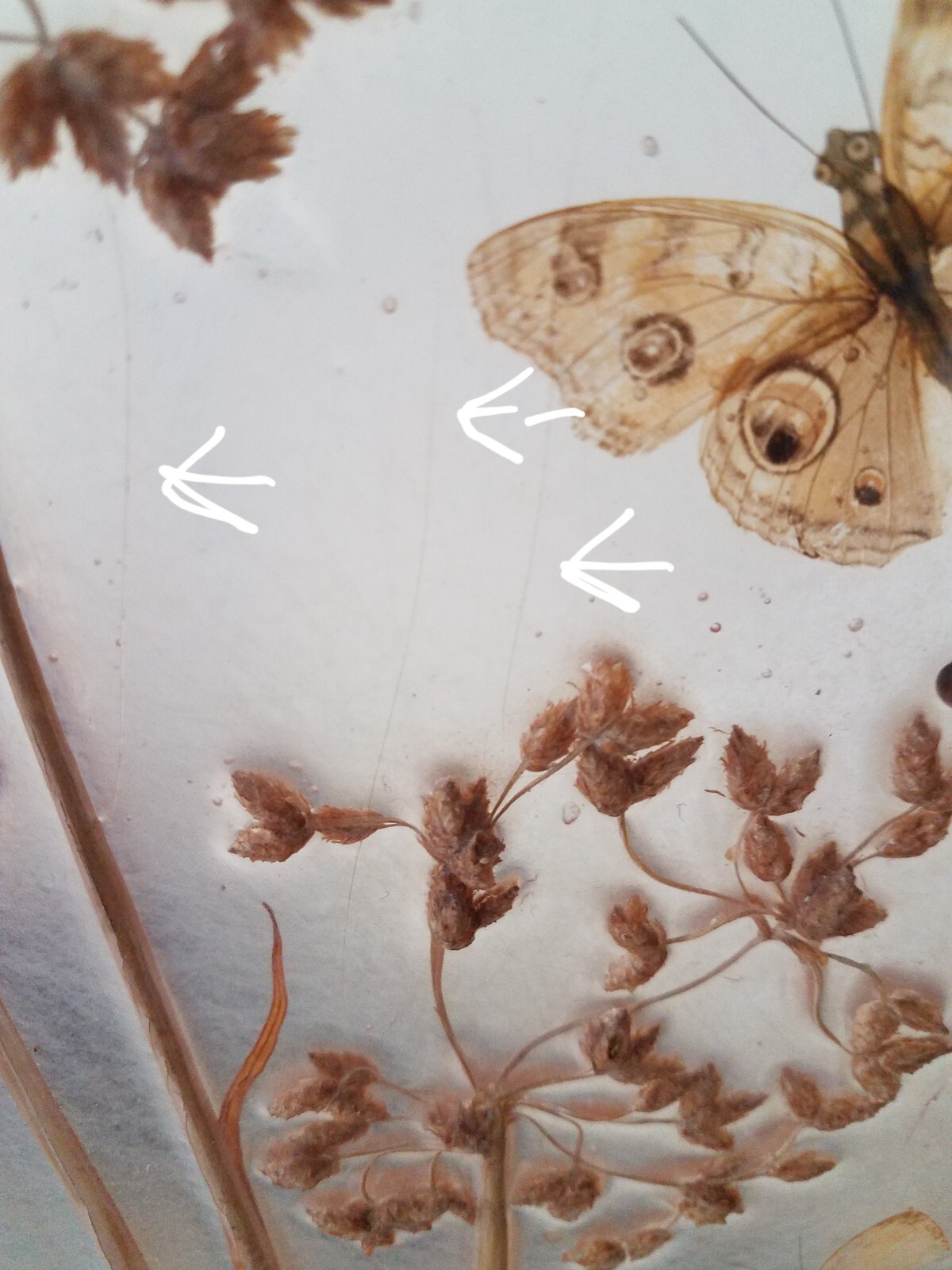 Vintage Pressed Resin Butterflies Flowers Plants Signed Table Top Triptych 3D
