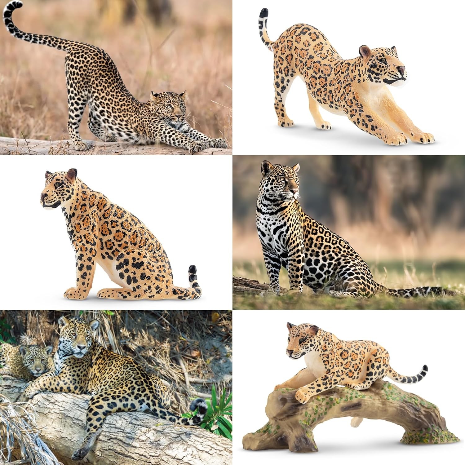 Toymany 7PCS Leopards Figurines with Leopards Cub and Tree Trunk, Realistic Jung