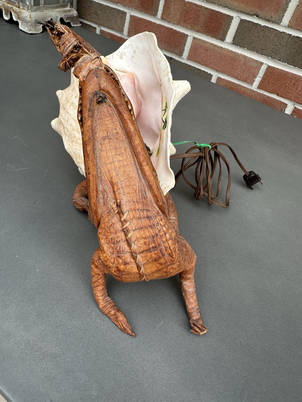 RARE Vintage Decorative Conchshell With Crocodile Or Alligator ( Not Sure Which)