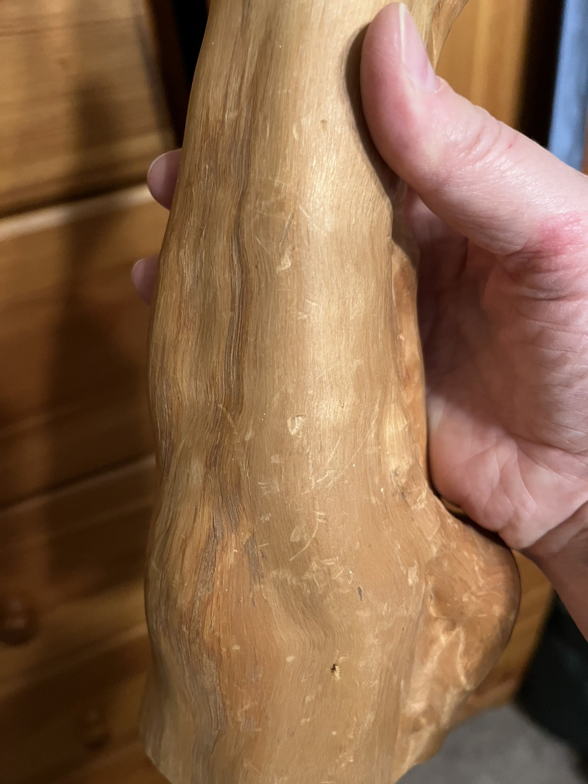 Vintage Natural Cypress Knee Wood Sculptures Set of 3 – Rustic Folk Art Decor