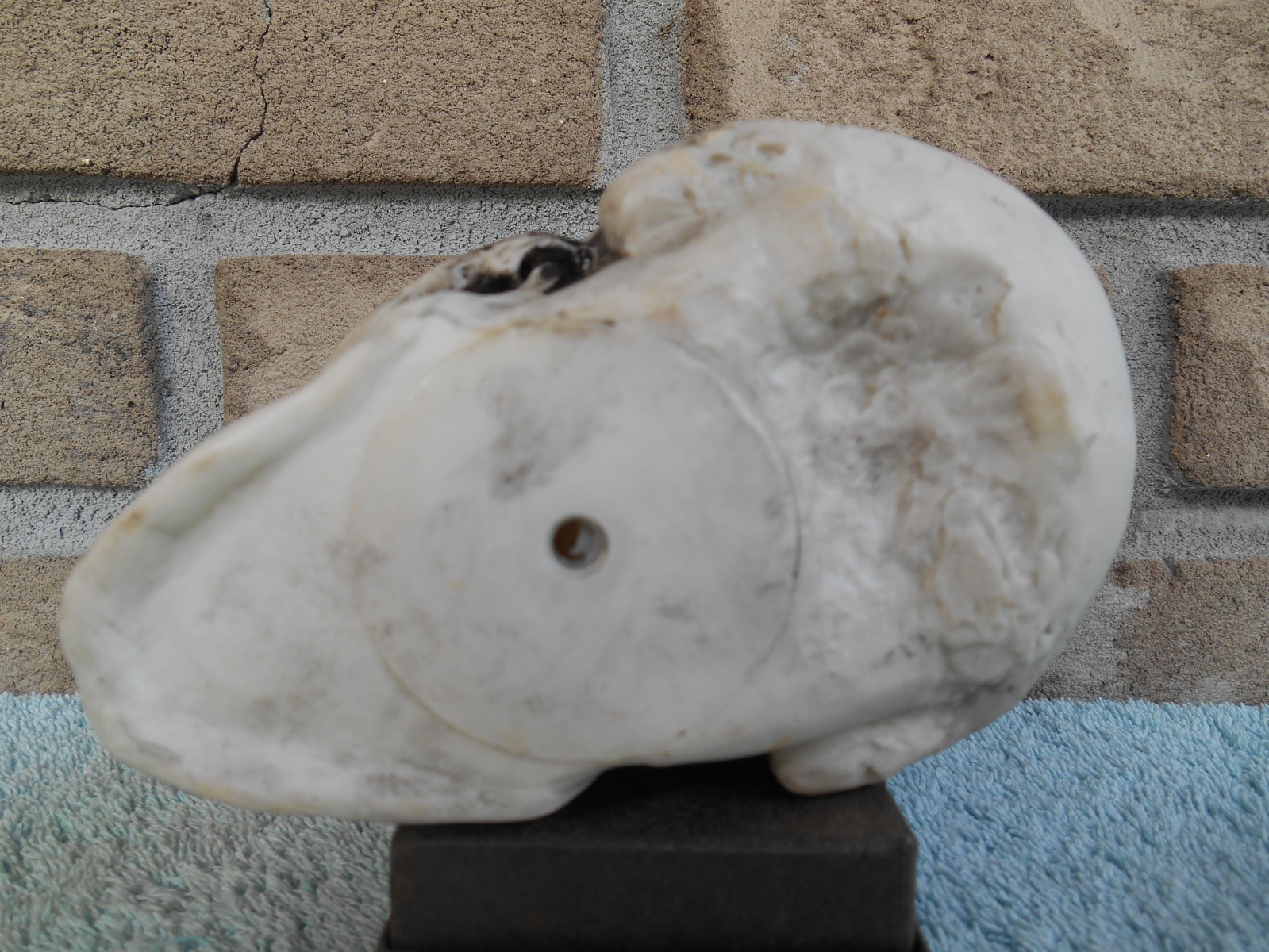 DECORATIVE PLASTIC MOLDED SKULL SKELETON HEAD 3-1/2″ TALL.