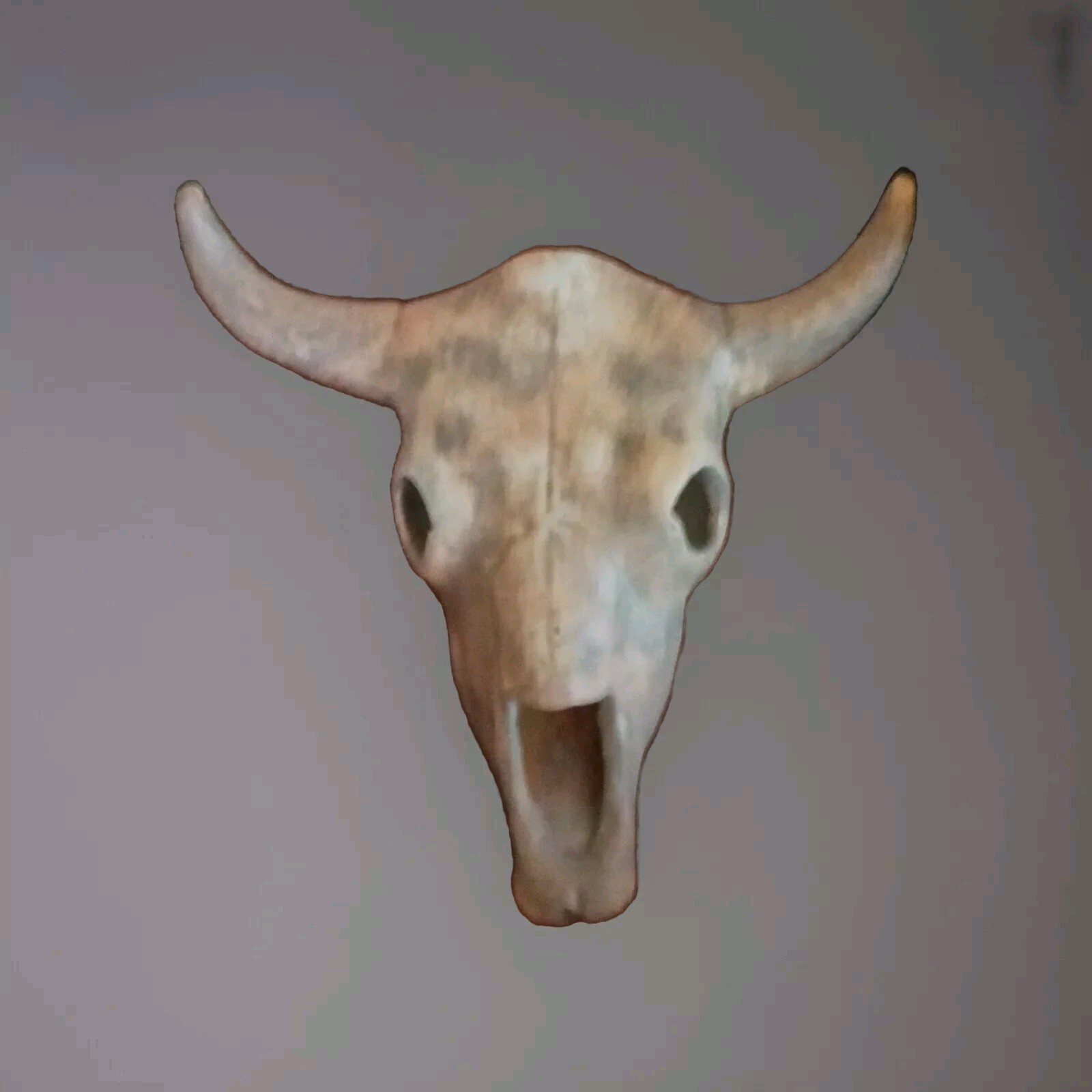 Ceramic Bulls Head