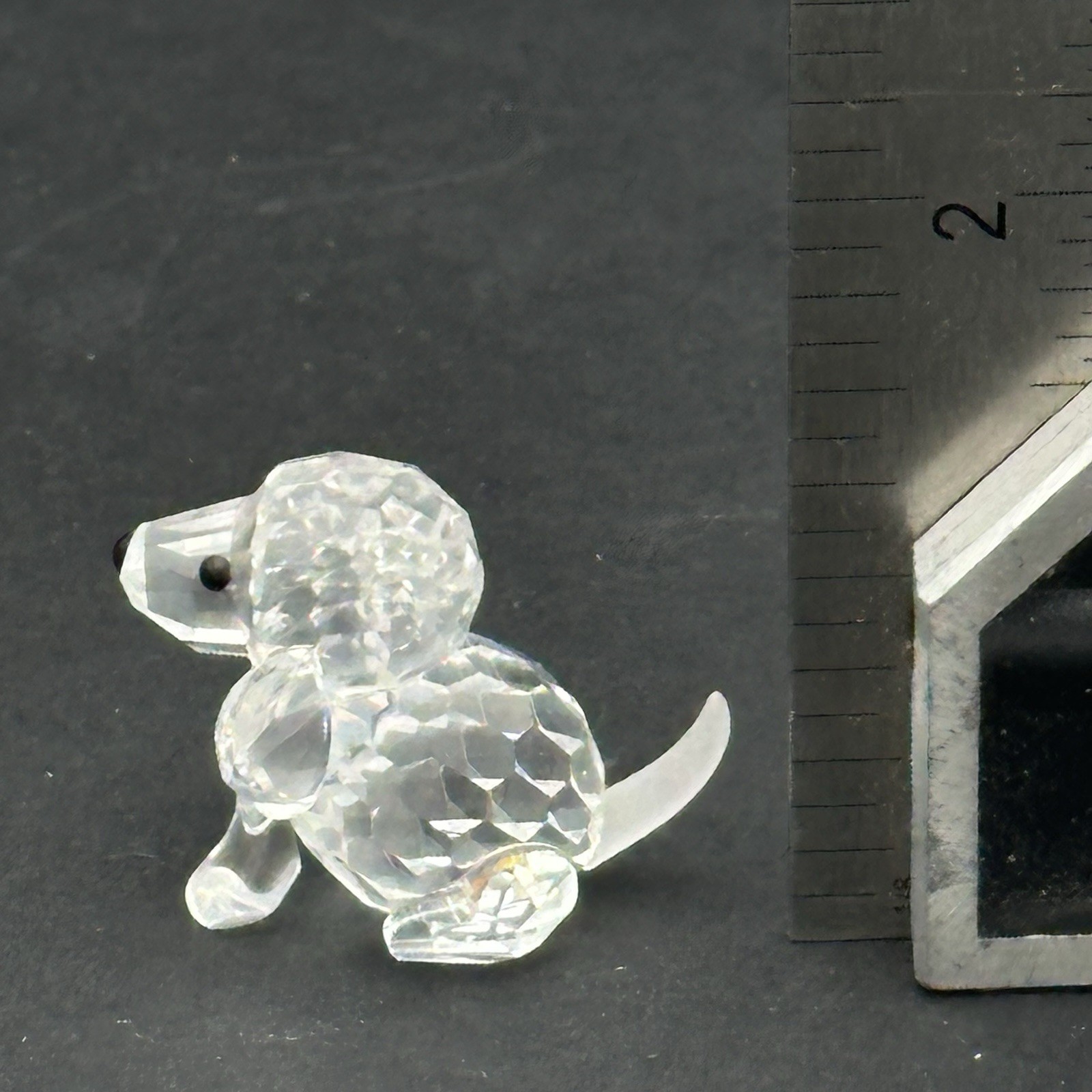 Swarovski Crystal Sitting Mini Poodle Beagle Puppy Dog Frosted Tail w/Box