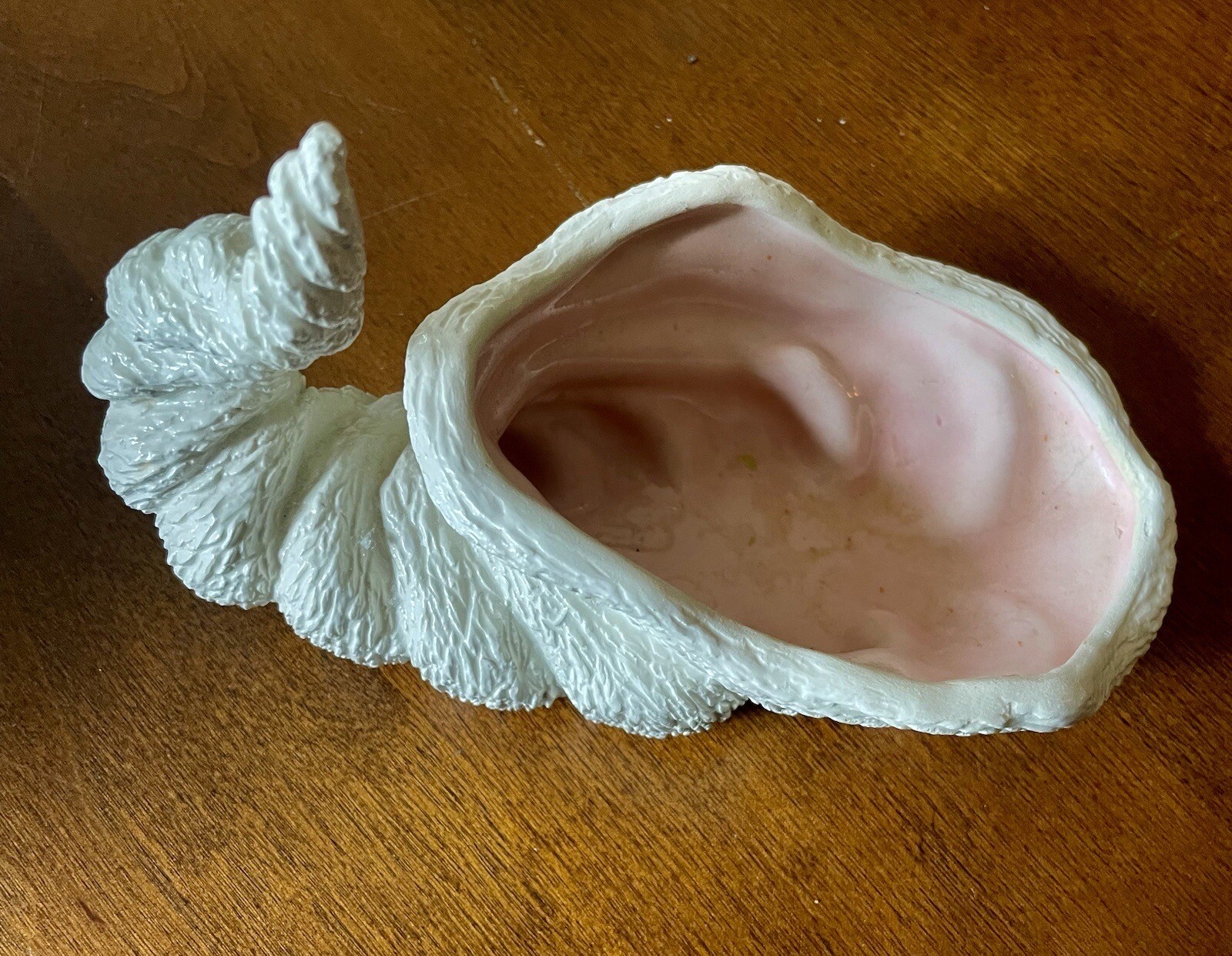 1979 NOWELL’S White Conch SEASHELL With Pink Gloss Interior – RARE BEAUTY!